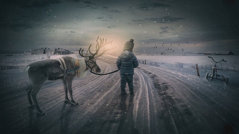 Dream Exploration